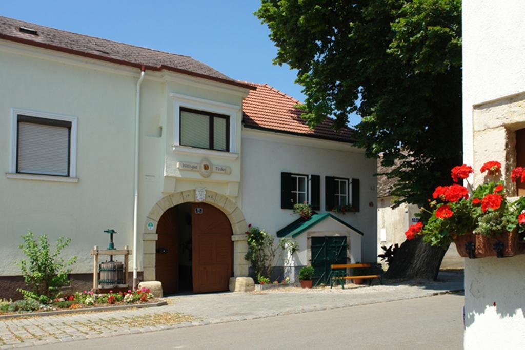 Winzerzimmer - Weingut Tinhof Eisenstadt Luaran gambar